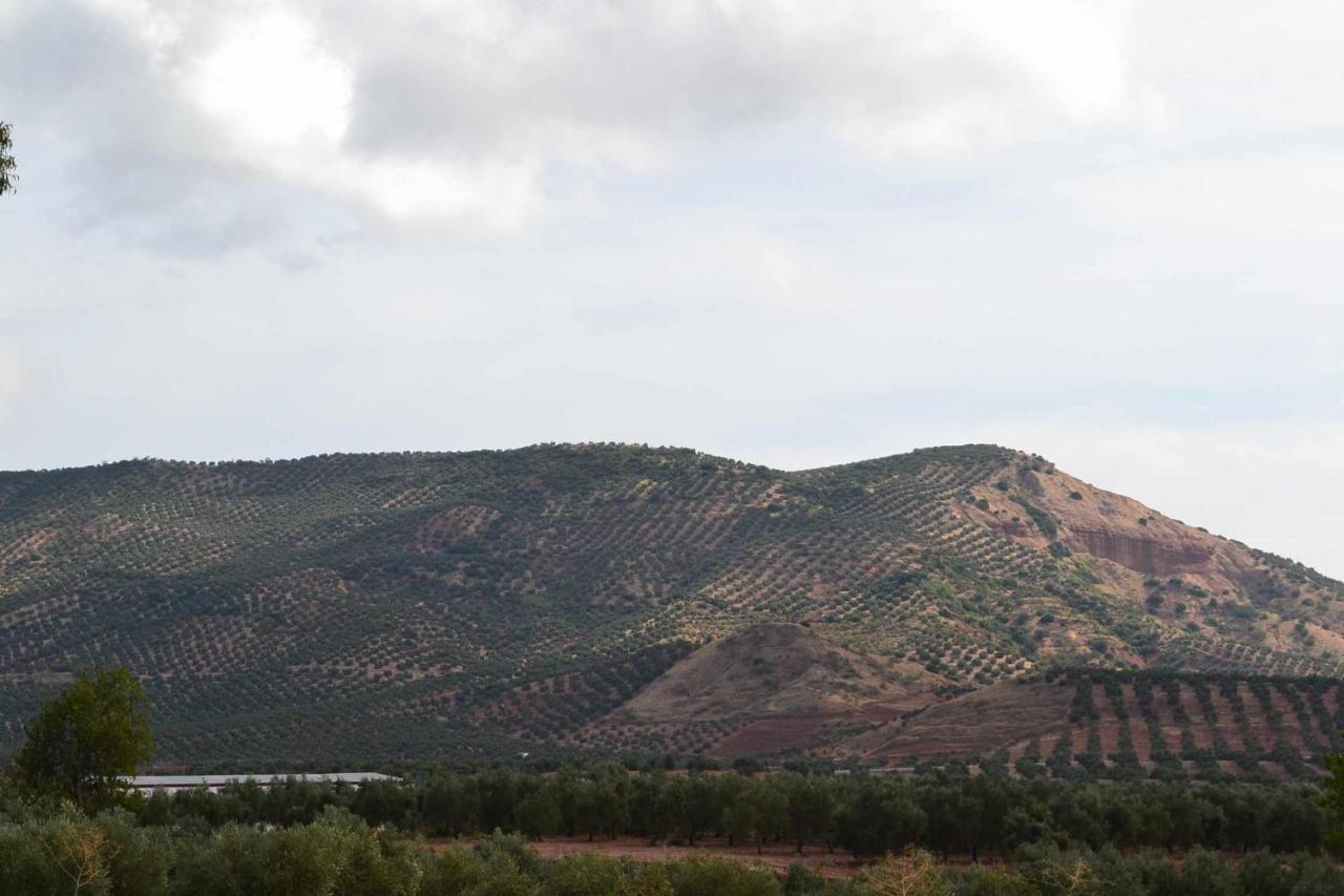 Finca el Vizconde Naturaleza con tus hijos Arquillos Exterior foto