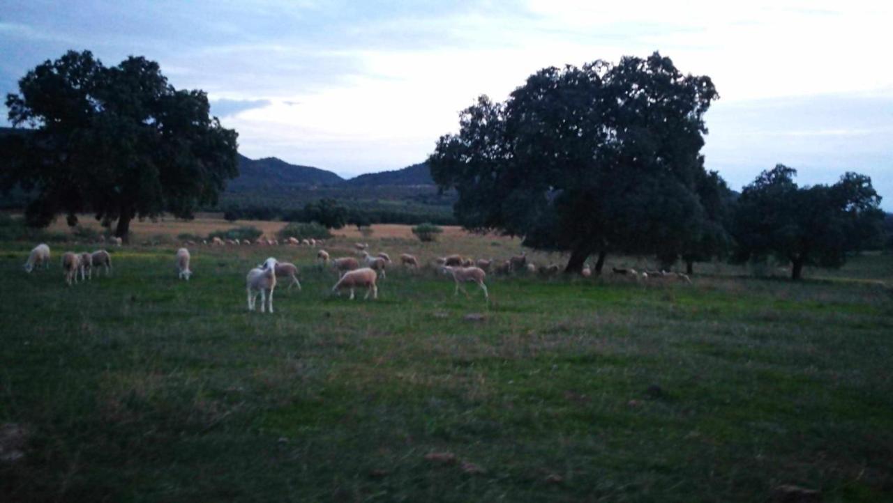 Finca el Vizconde Naturaleza con tus hijos Arquillos Exterior foto