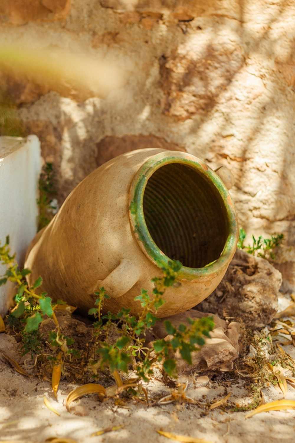 Finca el Vizconde Naturaleza con tus hijos Arquillos Exterior foto